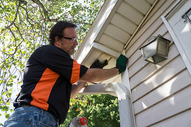 Best Shed Removal  in Hermosa Beach, CA